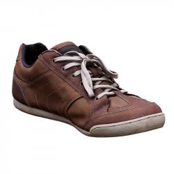 Shoe Scan Brown